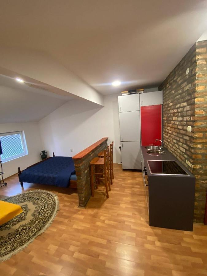 Twin Studio Apartments Zemun Beograd Ngoại thất bức ảnh